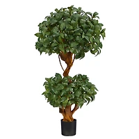 3ft. Potted Bay Laurel Double Ball Topiary Tree