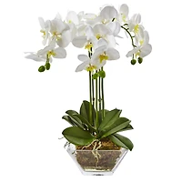 22" White Triple Orchid in Glass Vase