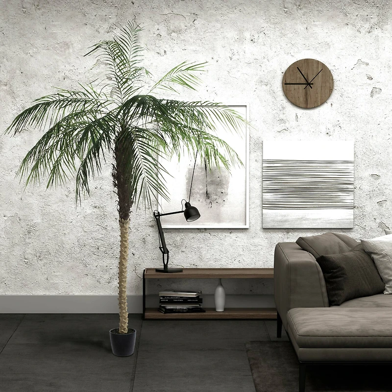 8ft. Potted Phoenix Palm Tree