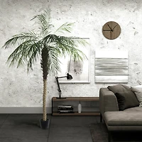 8ft. Potted Phoenix Palm Tree