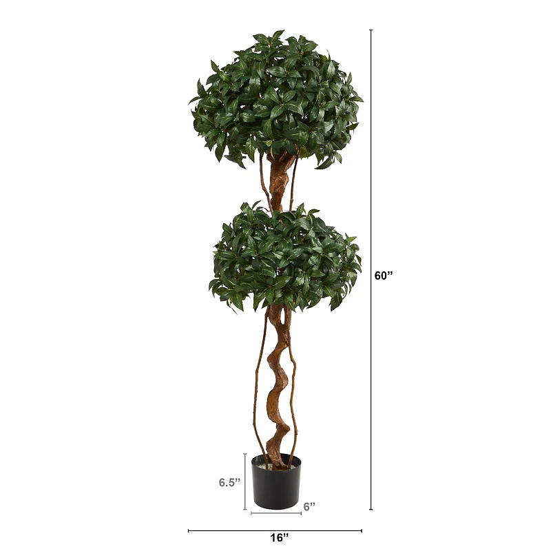 5ft. Bay Laurel Double Ball Topiary Tree