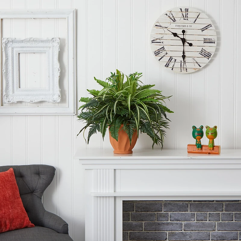 23" Mixed Leaf & Fern Plant in Terra Cotta Planter