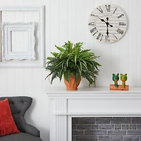 23" Mixed Leaf & Fern Plant in Terra Cotta Planter