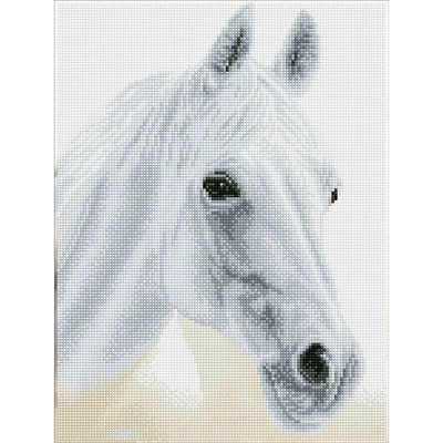 Diamond Dotz® Intermediate Arabian Beauty Diamond Painting Kit