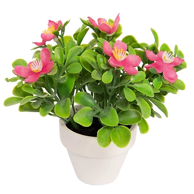 Assorted Micro Premade Flowering Plant, 1pc. by Ashland®