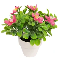 Assorted Micro Premade Flowering Plant, 1pc. by Ashland®