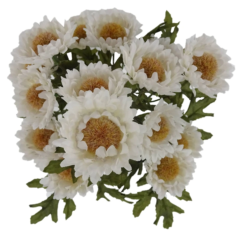 16" Cream Strawflower Bush by Ashland®