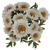 16" Cream Strawflower Bush by Ashland®