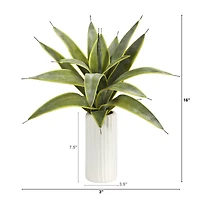 16" Snake Plant in White Planter