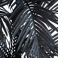 6ft. Artificial Halloween Black Golden Cane Tree