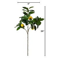 28" Lemon Branch Stems, 3ct.