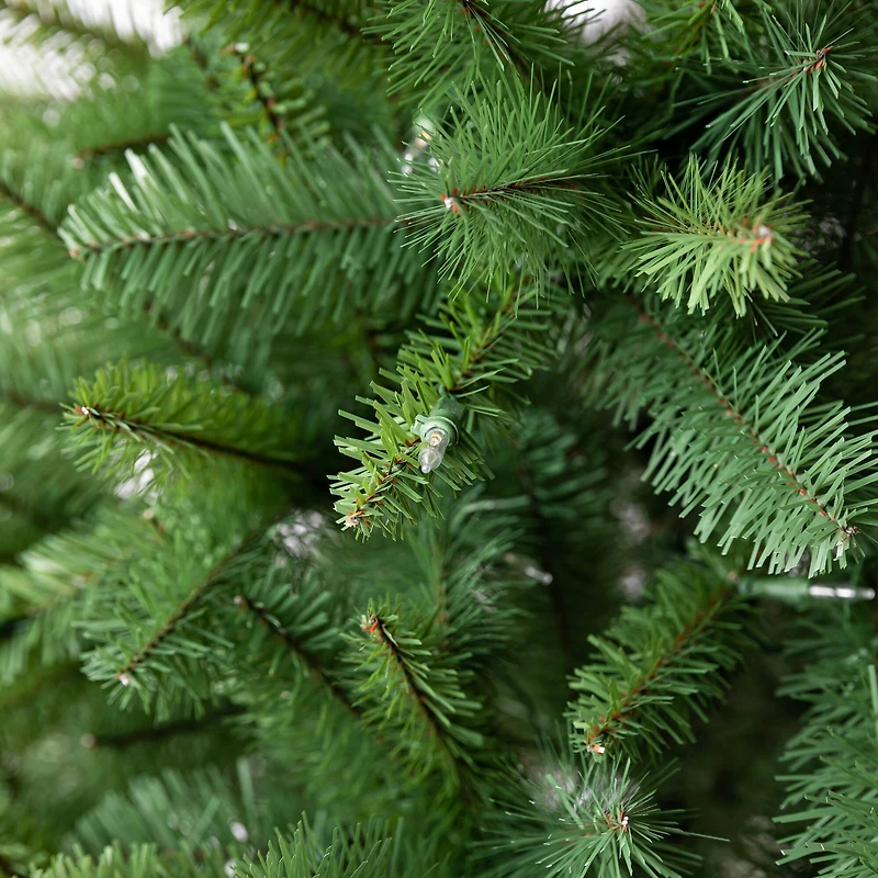 6ft. Pre-Lit Windham Spruce Artificial Christmas Tree, Warm White LED Lights by Ashland®