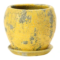 Hello Honey® 5" Distressed Yellow Terra Cotta Planter with Saucer Set