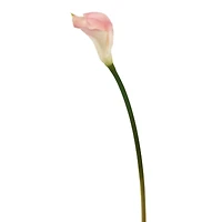 Pink Calla Lily Stem, 6ct.