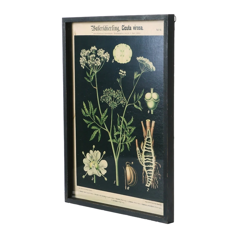 Hello Honey® 22" Botanical Wall Prints in Wooden Frame Set