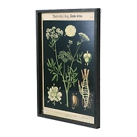 Hello Honey® 22" Botanical Wall Prints in Wooden Frame Set