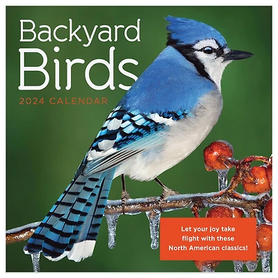 TF Publishing Backyard Birds Mini Calendar