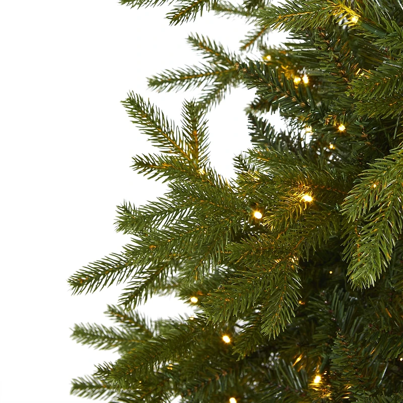 7ft. Pre-Lit Belgium Fir Artificial Christmas Tree, Clear LED Lights