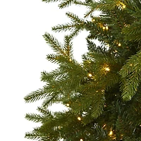 7ft. Pre-Lit Belgium Fir Artificial Christmas Tree, Clear LED Lights