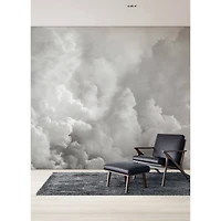 Katie Hunt Dove Gray In the Clouds Wall Mural