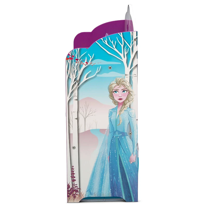 Delta Children Frozen II Deluxe Toy & Book Organizer