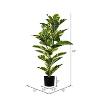 3ft. Potted Artificial Dumb Cane Tree