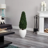 3.5ft. Boxwood Topiary in Textured White Planter