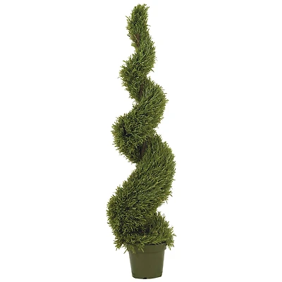 5ft. Potted Rosemary Spiral Tree