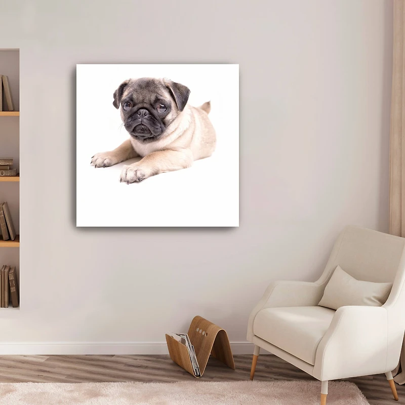 Lumaprints Cute Pug Puppy Canvas Giclée Art