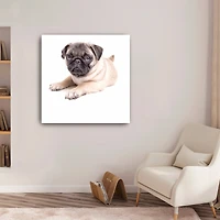 Lumaprints Cute Pug Puppy Canvas Giclée Art