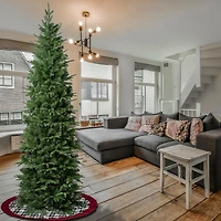 7.5ft. Unlit Duxbury Slim Artificial Christmas Tree