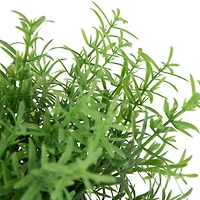 9" Green Leafy Foliage in Fabric Covered Pot