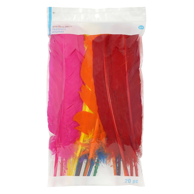 Quill Feather Mix by Creatology™