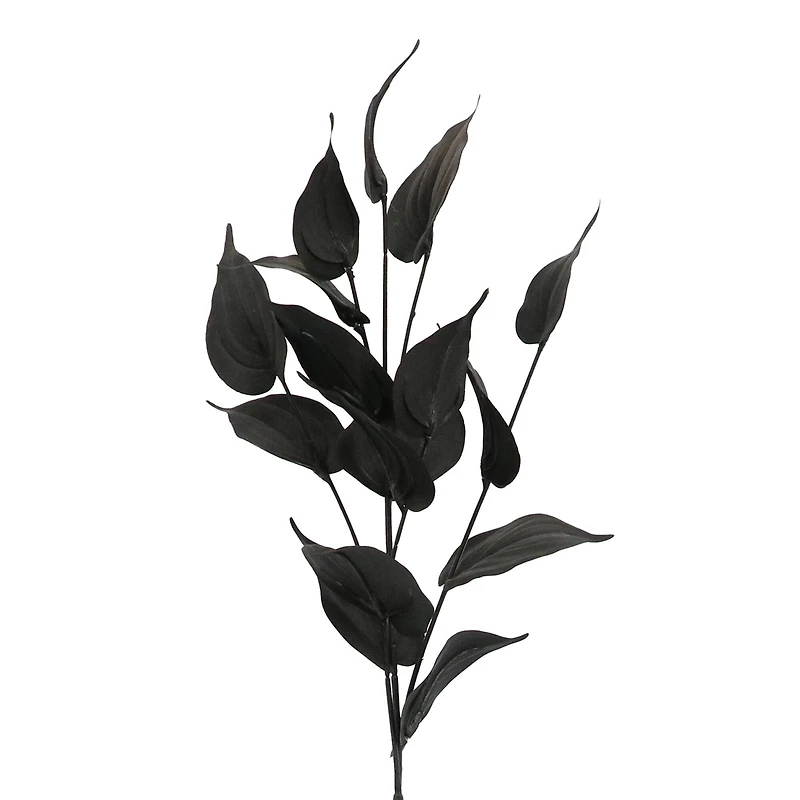 Black Philodendron Leaves Stem by Ashland®