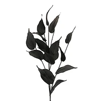 Black Philodendron Leaves Stem by Ashland®