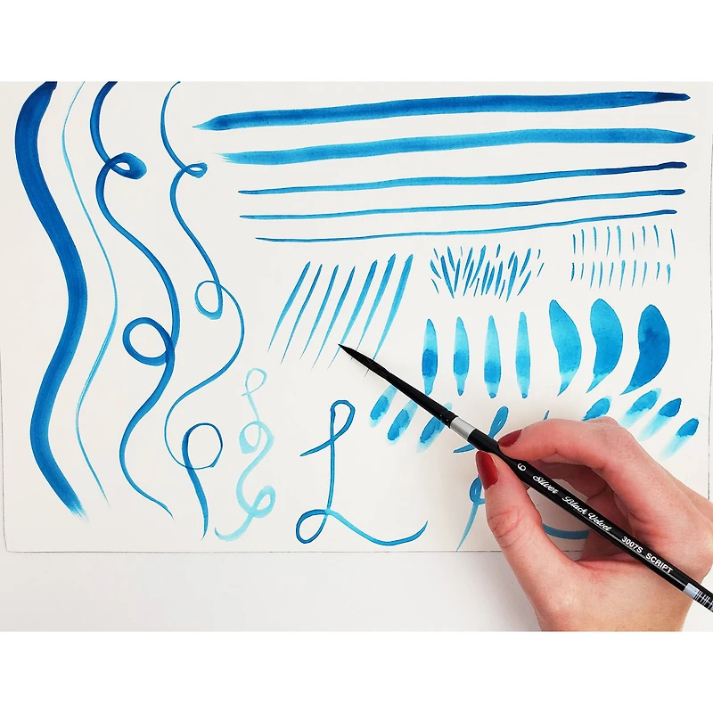 Silver Brush Limited Black Velvet® Liner Brushes Set