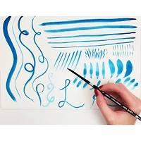 Silver Brush Limited Black Velvet® Liner Brushes Set