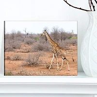 Designart - Giraffe Walking through African Forest