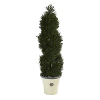 4.5ft. Double Pond Cypress Spiral Topiary Tree in Planter