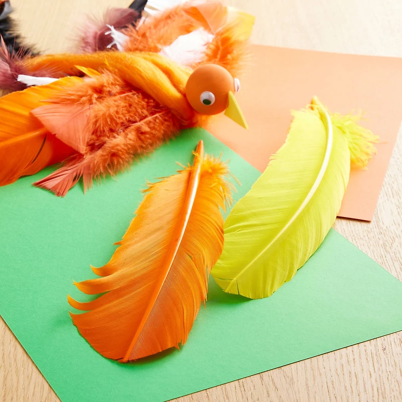 12 Packs: 20 ct. (240 total) Mixed Quill Feathers by Creatology™