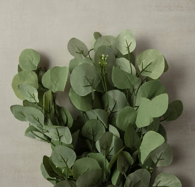 Eucalyptus Bush by Ashland®