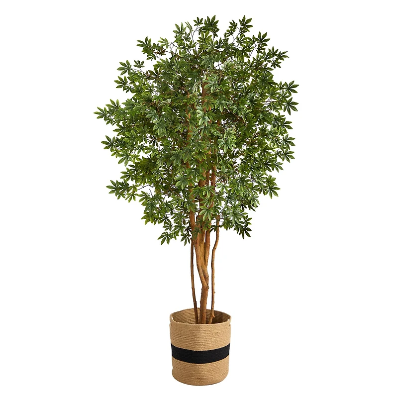 6ft. Japanese Maple Artificial Tree in Handmade Natural Cotton Planter