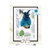RTO Macaw Cross Stitch Kit