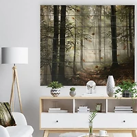 Designart - Light in Dense Fall Forest with Fog