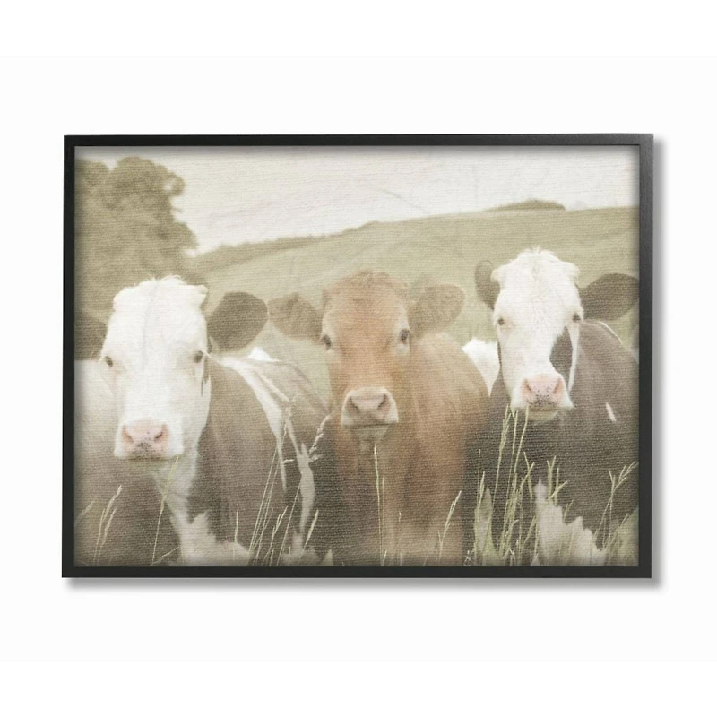 Stupell Industries Cows in the Field with Frame Wall Accent
