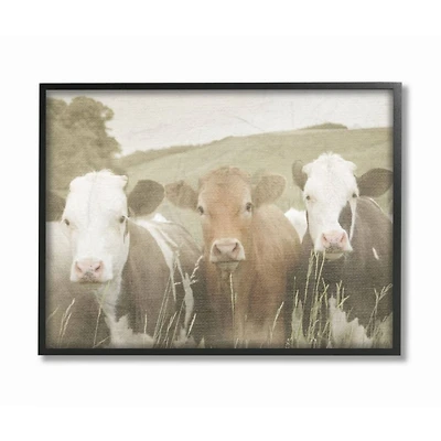 Stupell Industries Cows in the Field with Frame Wall Accent