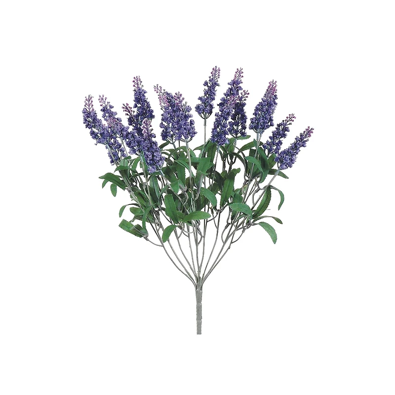 Lavender Bush