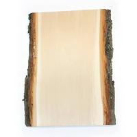 Wilson® Enterprises Artist-Grade Basswood Planks