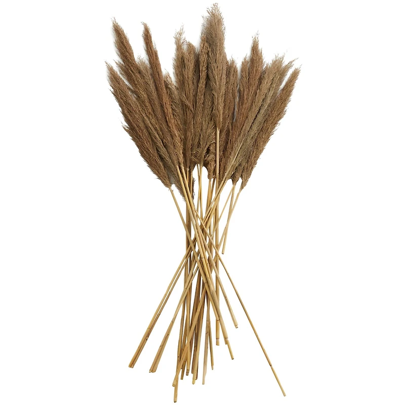 Dried Plant Bamboo Natural Foliage with Long Stems