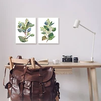 Stupell Industries Soft Eucalyptus Plant Blue Green Ombre Leaves Canvas Wall Art